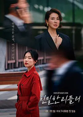 【韩国剧】亲密的雷普利