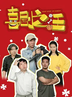 【国产剧】喜剧之汪